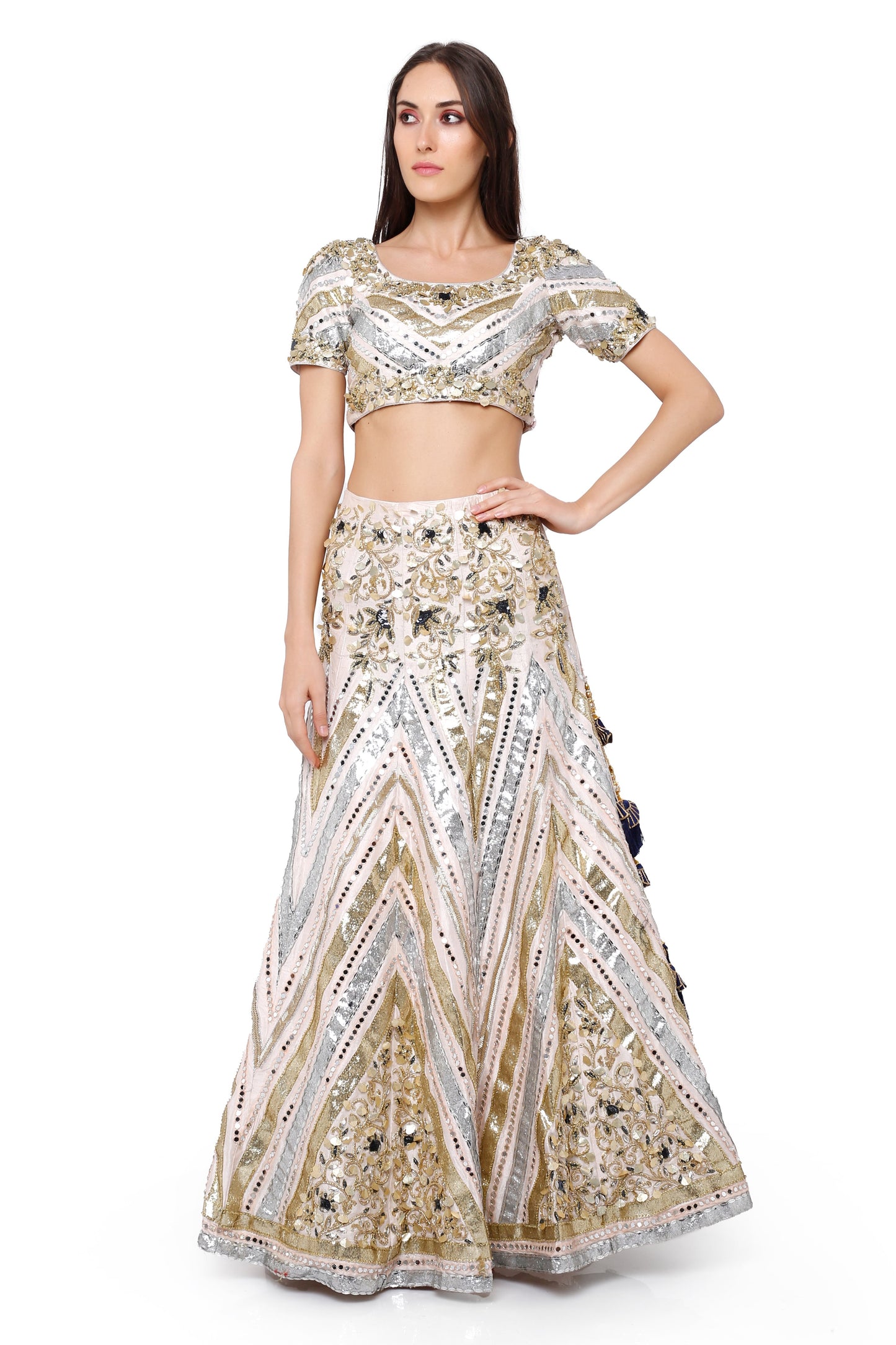 Embellished lehenga set